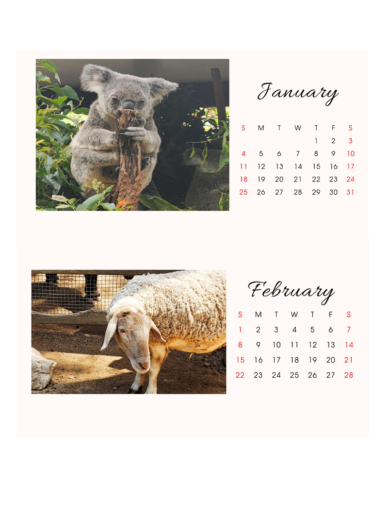 FAUNA Calendar 2026 Bijou Inc - Image 2
