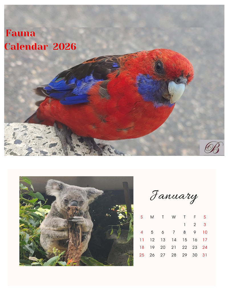FAUNA Calendar 2026 Bijou Inc
